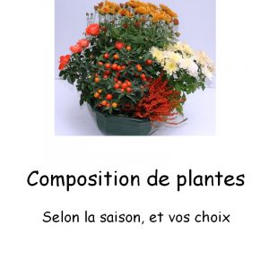 Composition-de-plantes